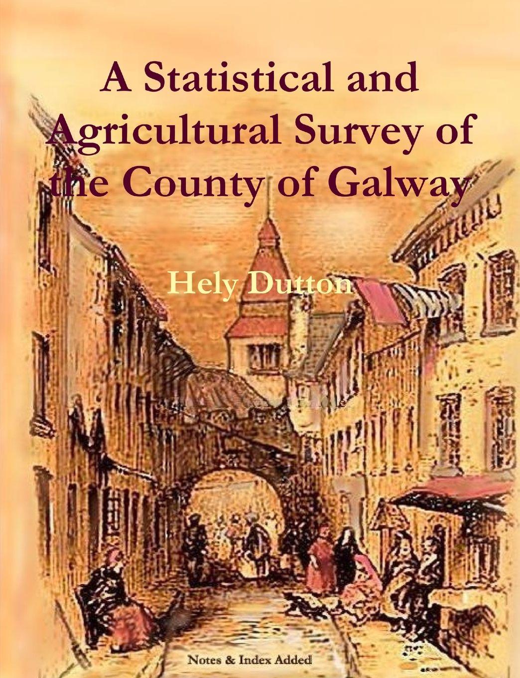 Vorderes Coverbild A Statistical and Agricultural Survey of the County of Galway
