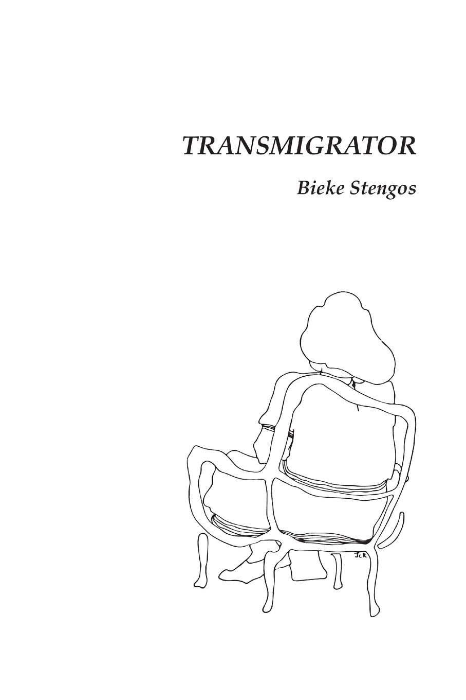 Vorderes Coverbild Transmigrator