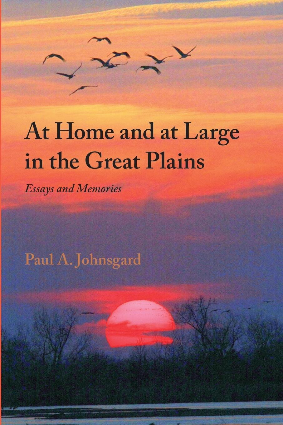Vorderes Coverbild At Home and at Large in the Great Plains