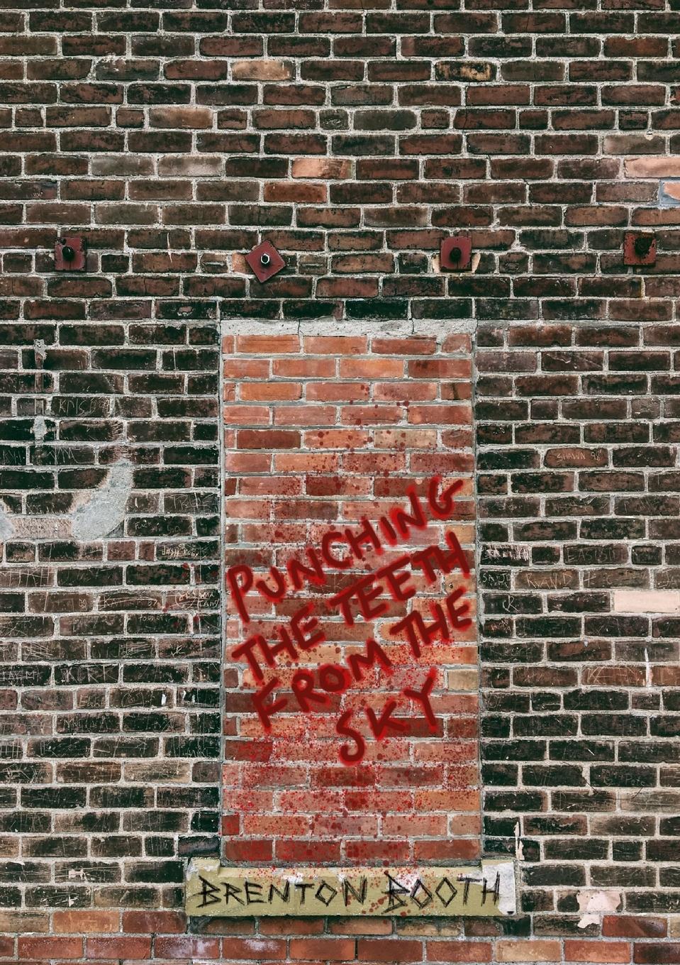 Vorderes Coverbild Punching The Teeth From The Sky