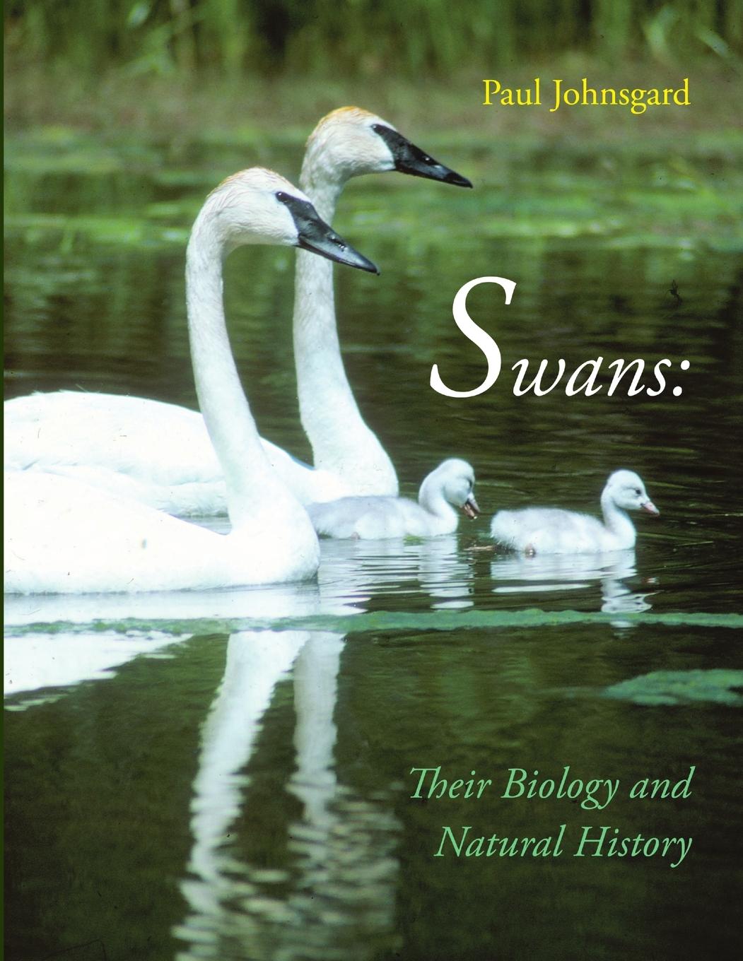 Vorderes Coverbild Swans