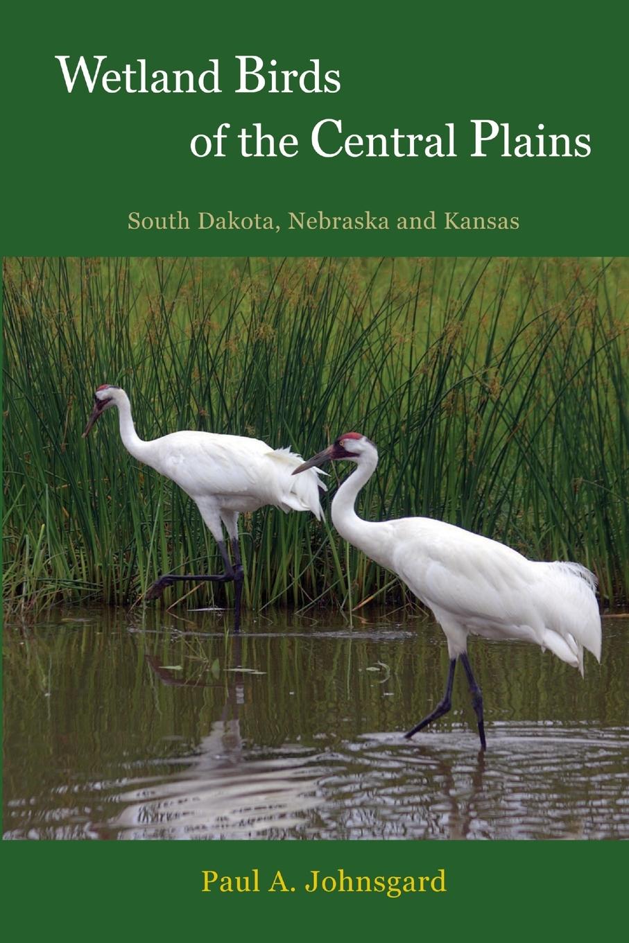 Vorderes Coverbild Wetland Birds of the Central Plains