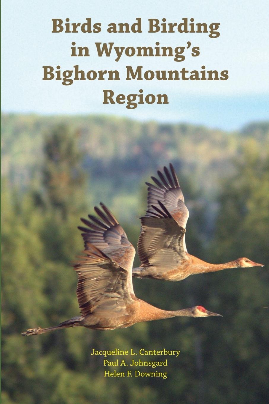 Vorderes Coverbild Birds and Birding in Wyoming's Bighorn Mountains Region