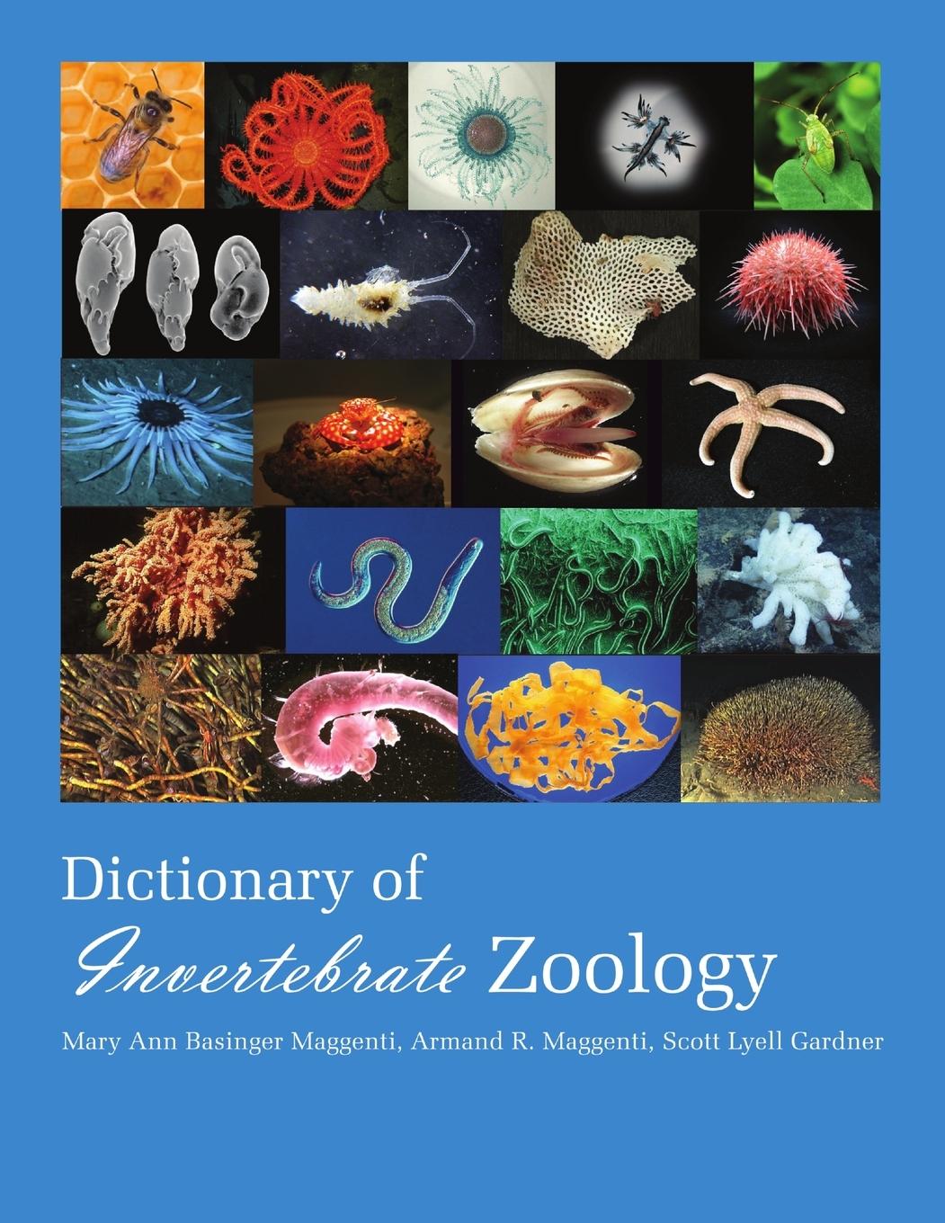 Vorderes Coverbild Dictionary of Invertebrate Zoology --Paperback