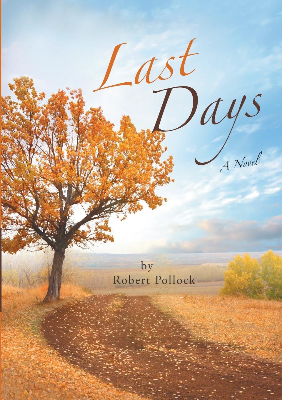 Vorderes Coverbild Last Days