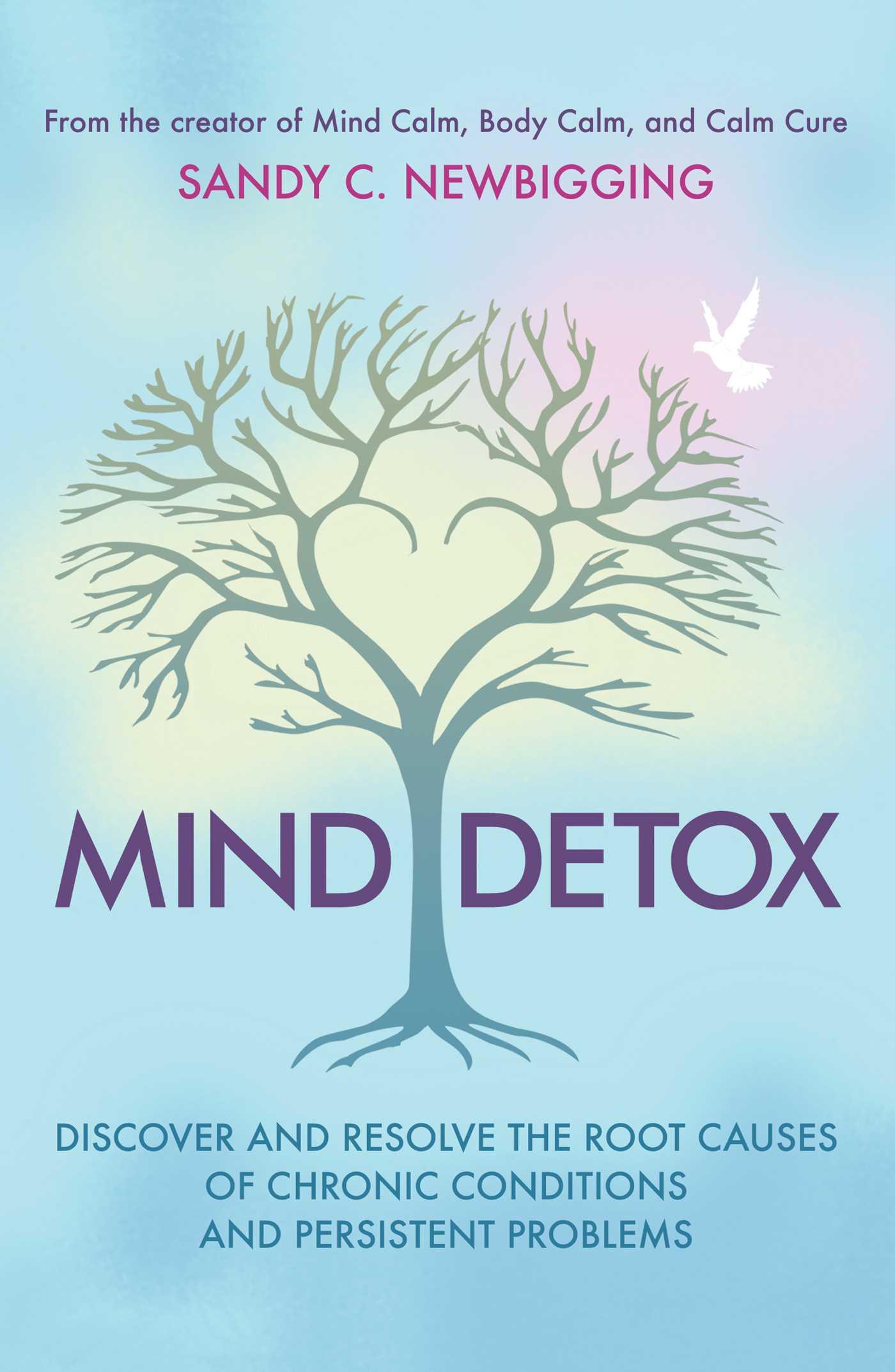 Vorderes Coverbild Mind Detox