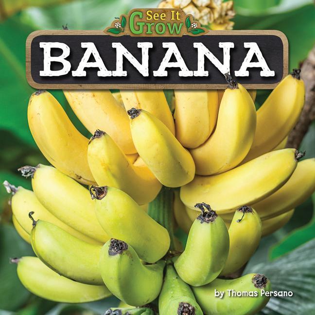Vorderes Coverbild Banana