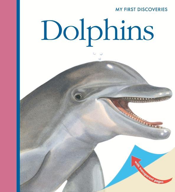 Vorderes Coverbild Dolphins