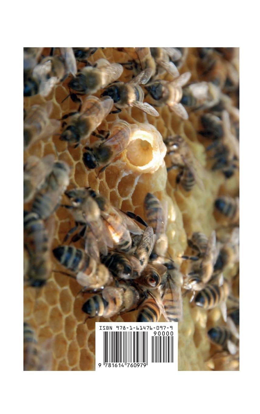 Rückseitencover O Apicultor Prático