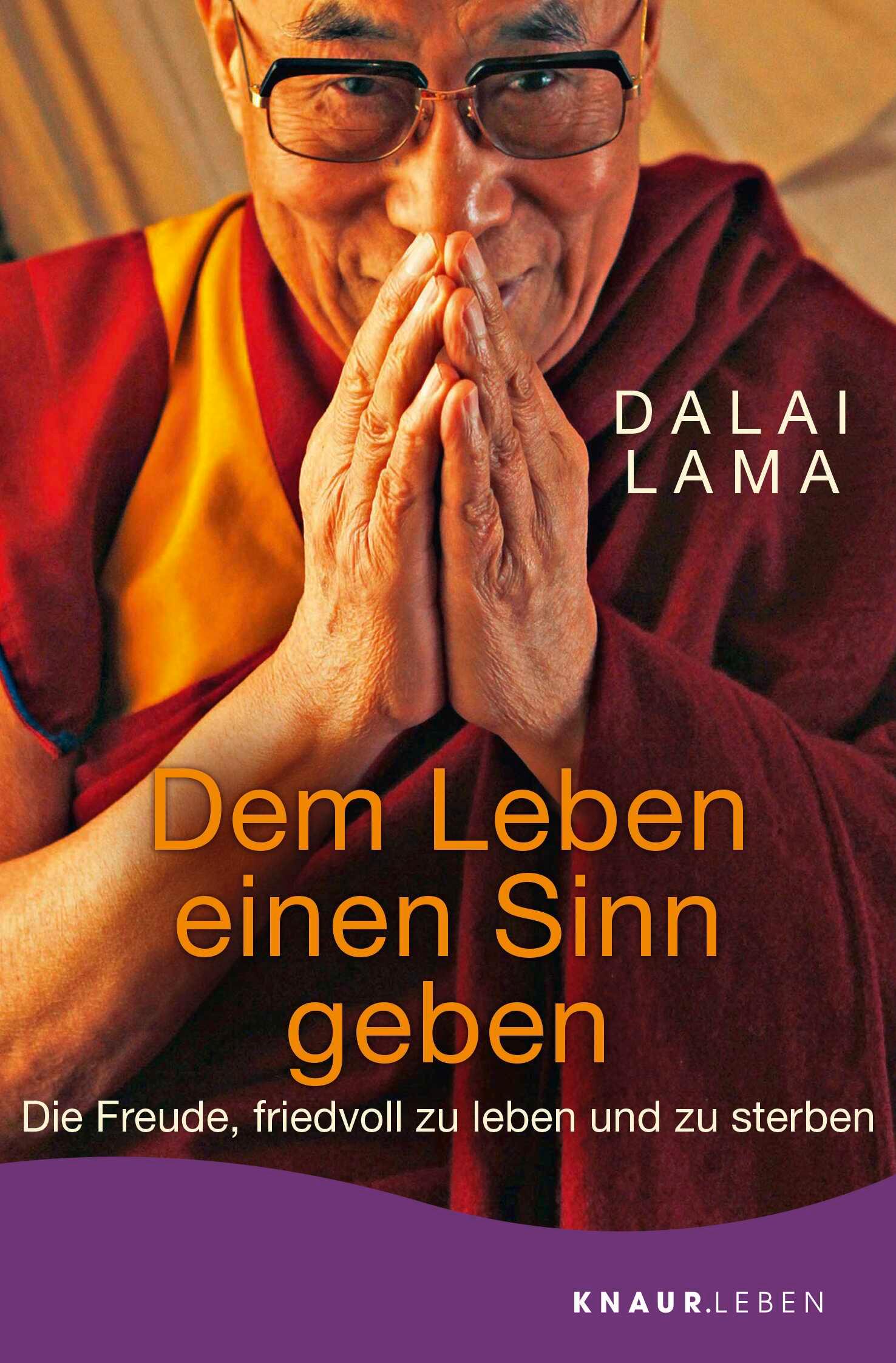 Vorderes Coverbild Dem Leben einen Sinn geben