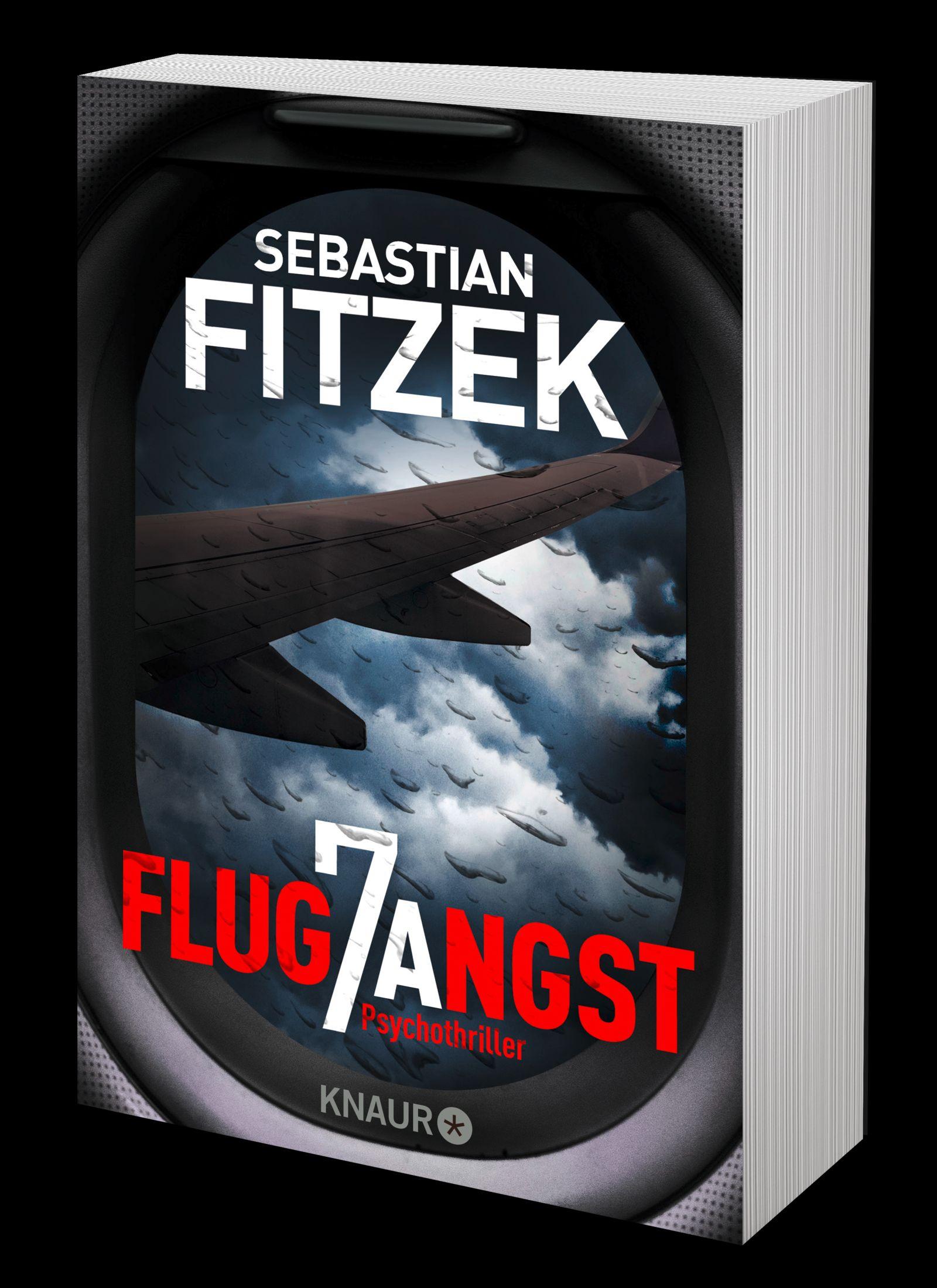 Beispielinhalt (Bild) Flugangst 7A