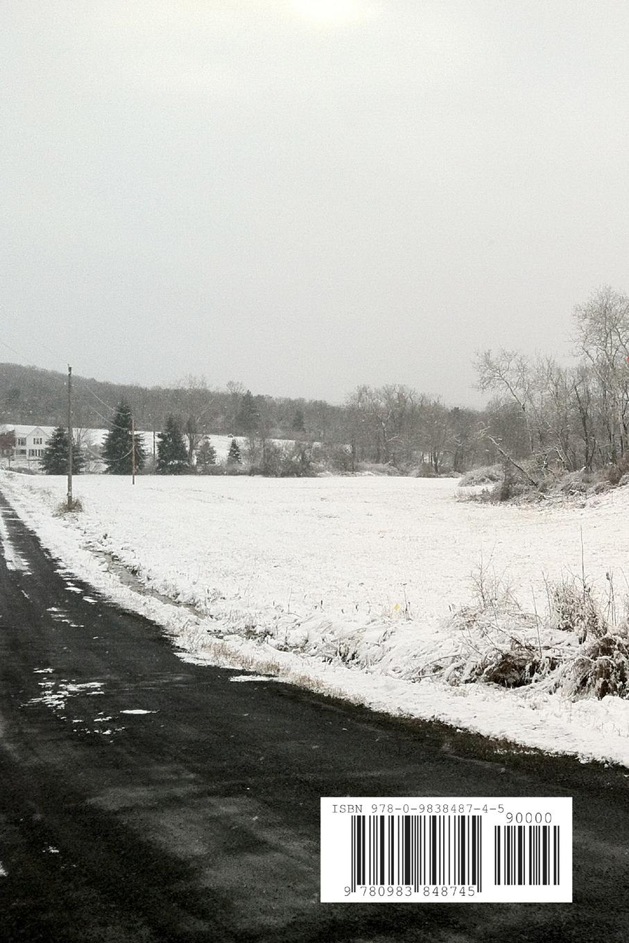 Rückseitencover New York History Review