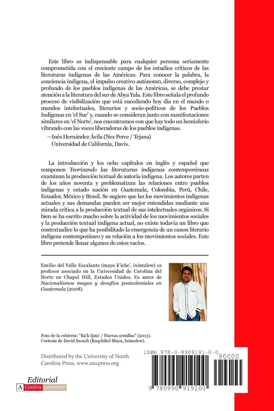 Rückseitencover Teorizando las literaturas indígenas contemporáneas