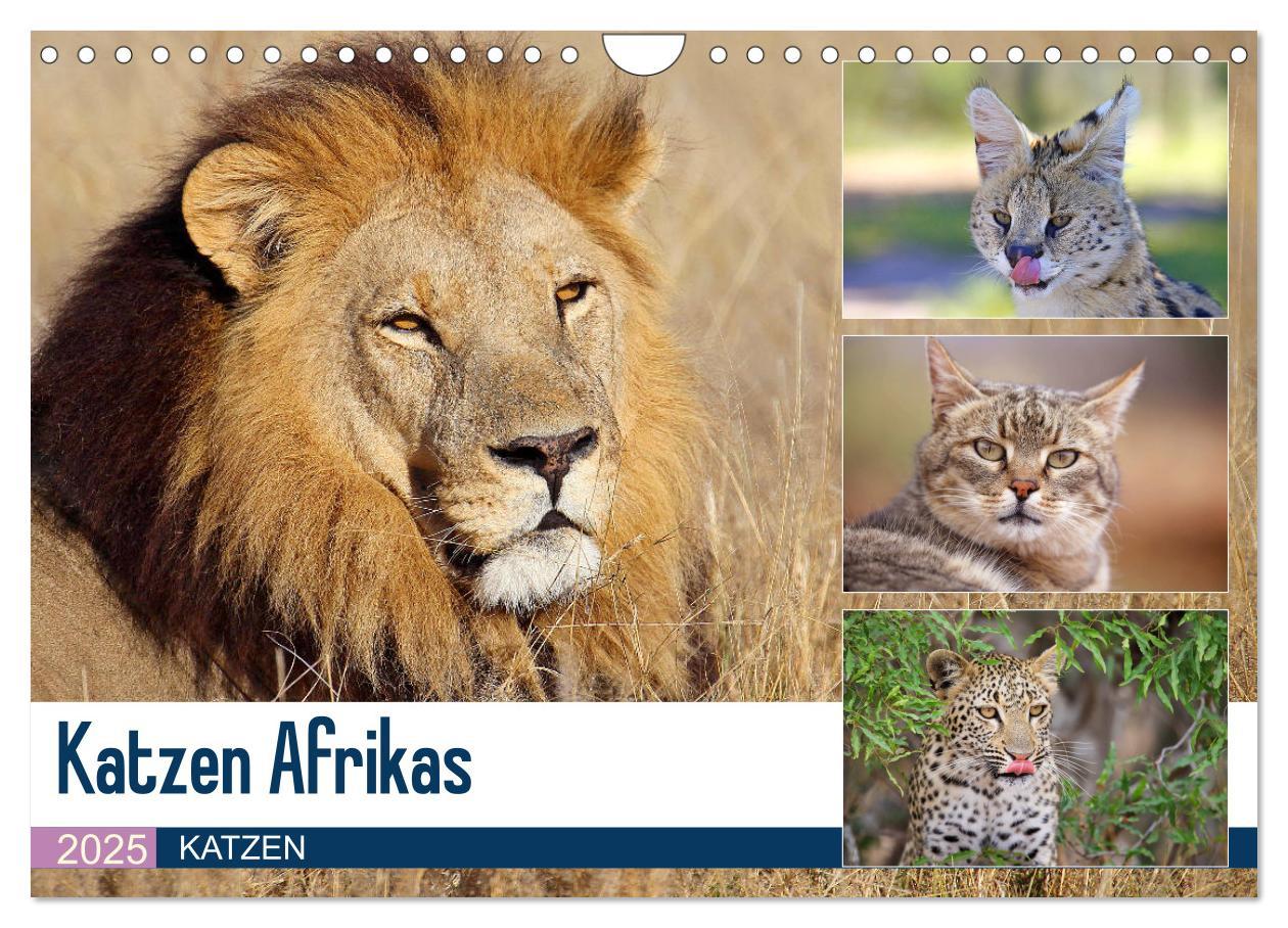 Vorderes Coverbild Sketches from America