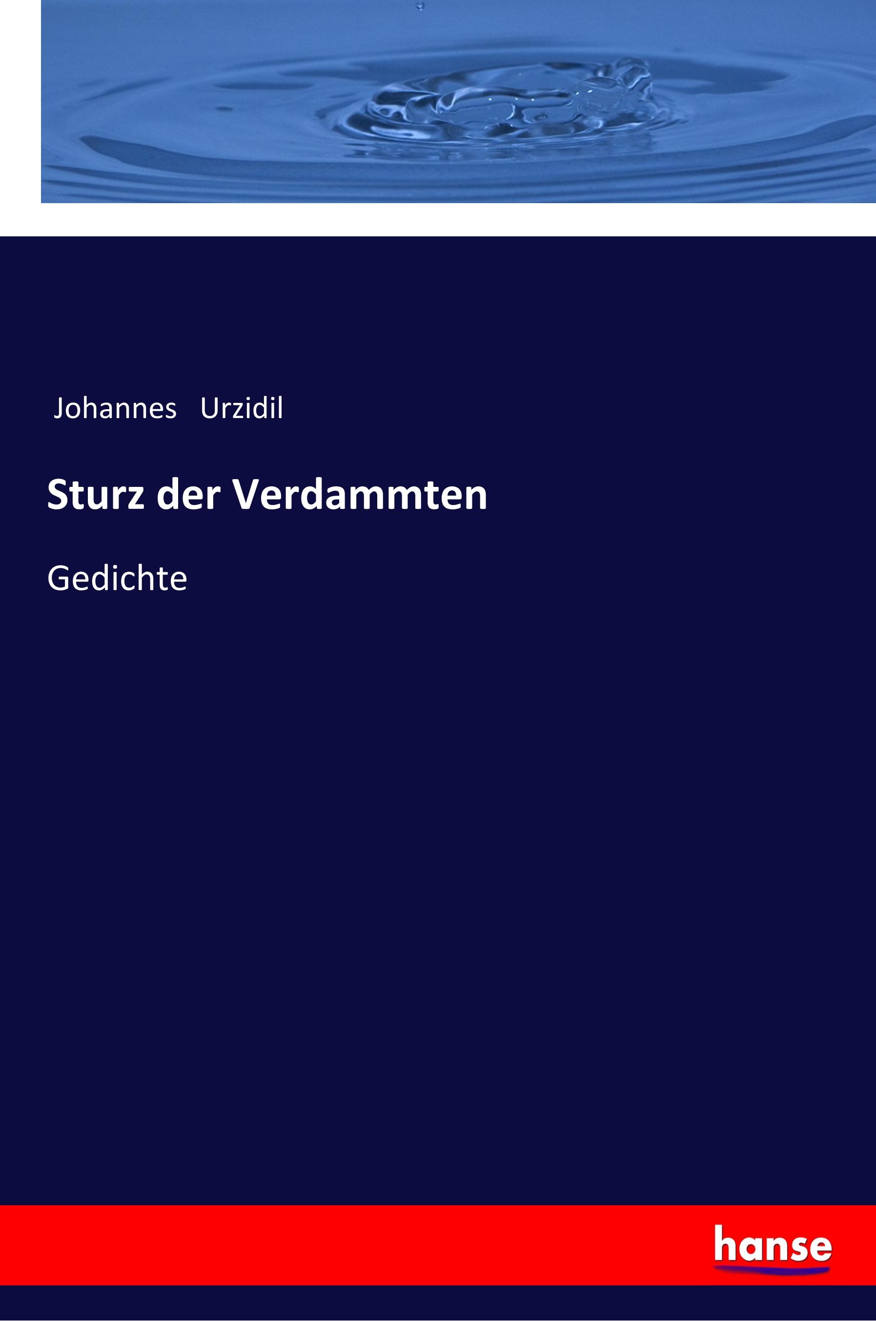 Vorderes Coverbild Sturz der Verdammten