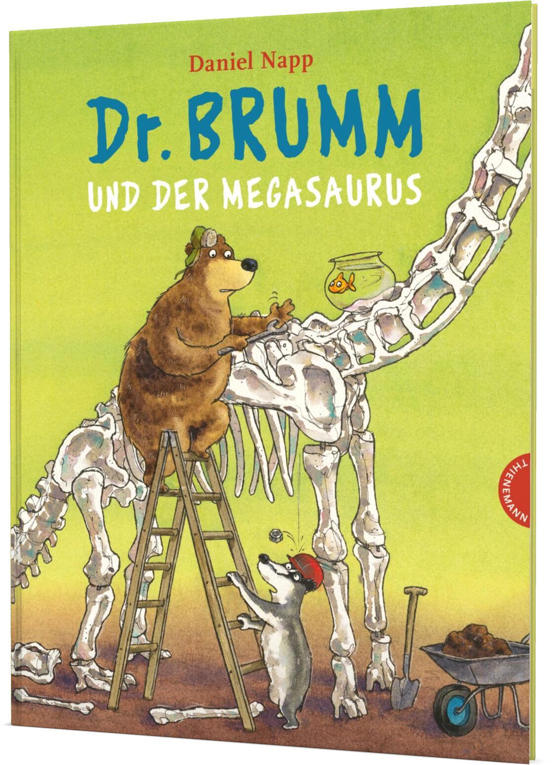 Vorderes Coverbild Dr. Brumm und der Megasaurus