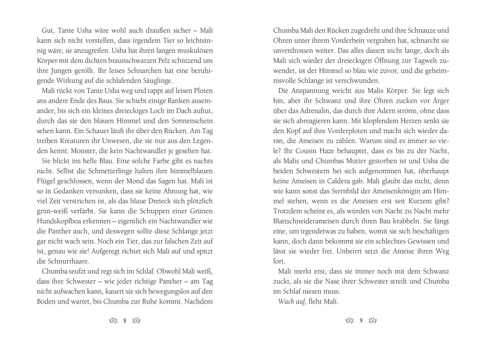 Beispielinhalt (Bild) Caldera 1: Die Wächter des Dschungels