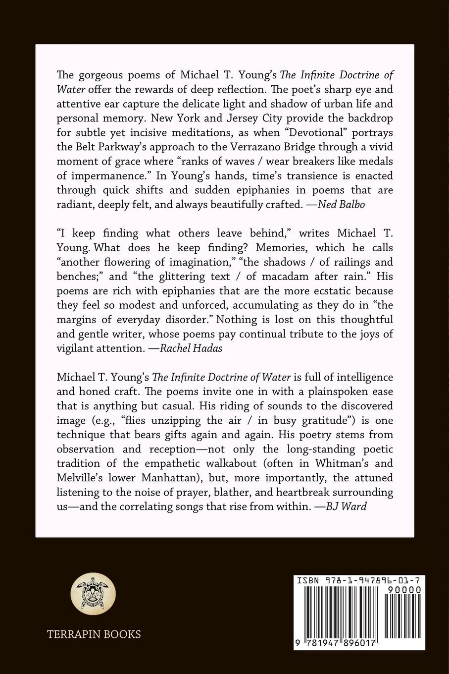 Rückseitencover The Infinite Doctrine of Water