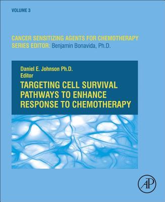 Vorderes Coverbild Targeting Cell Survival Pathways to Enhance Response to Chemotherapy