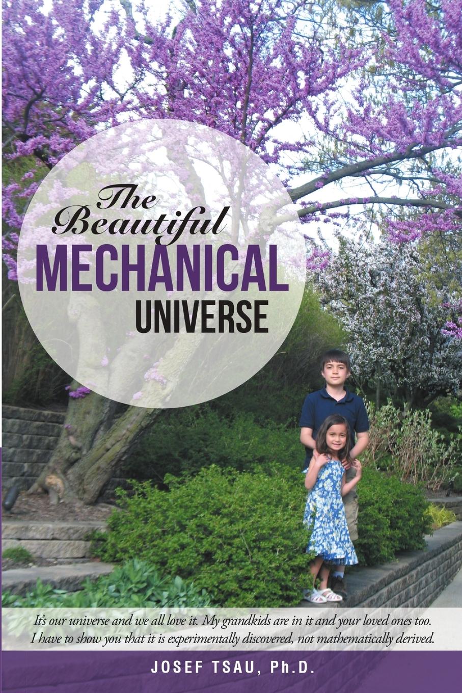 Vorderes Coverbild The Beautiful Mechanical Universe