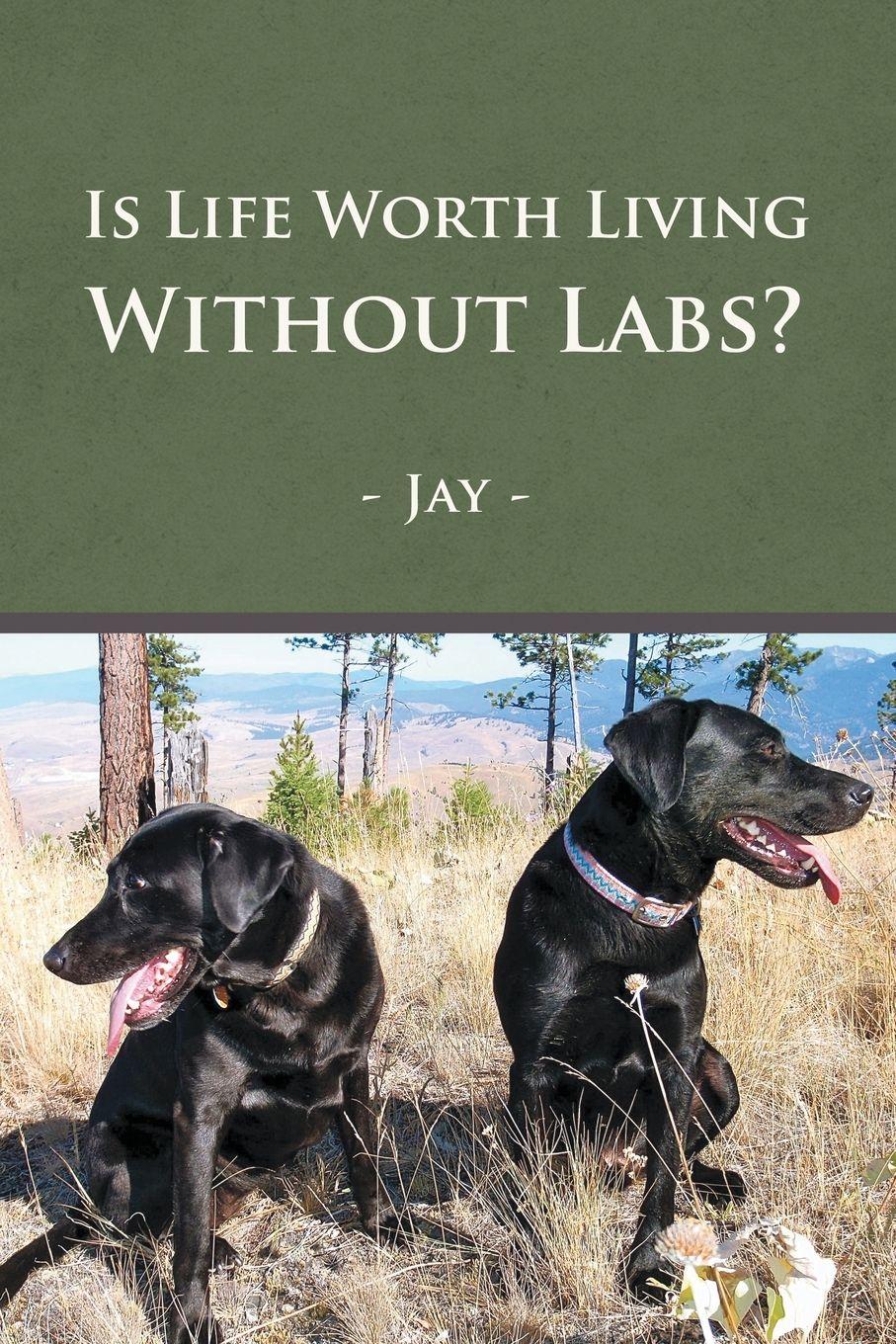 Vorderes Coverbild Is Life Worth Living Without Labs?