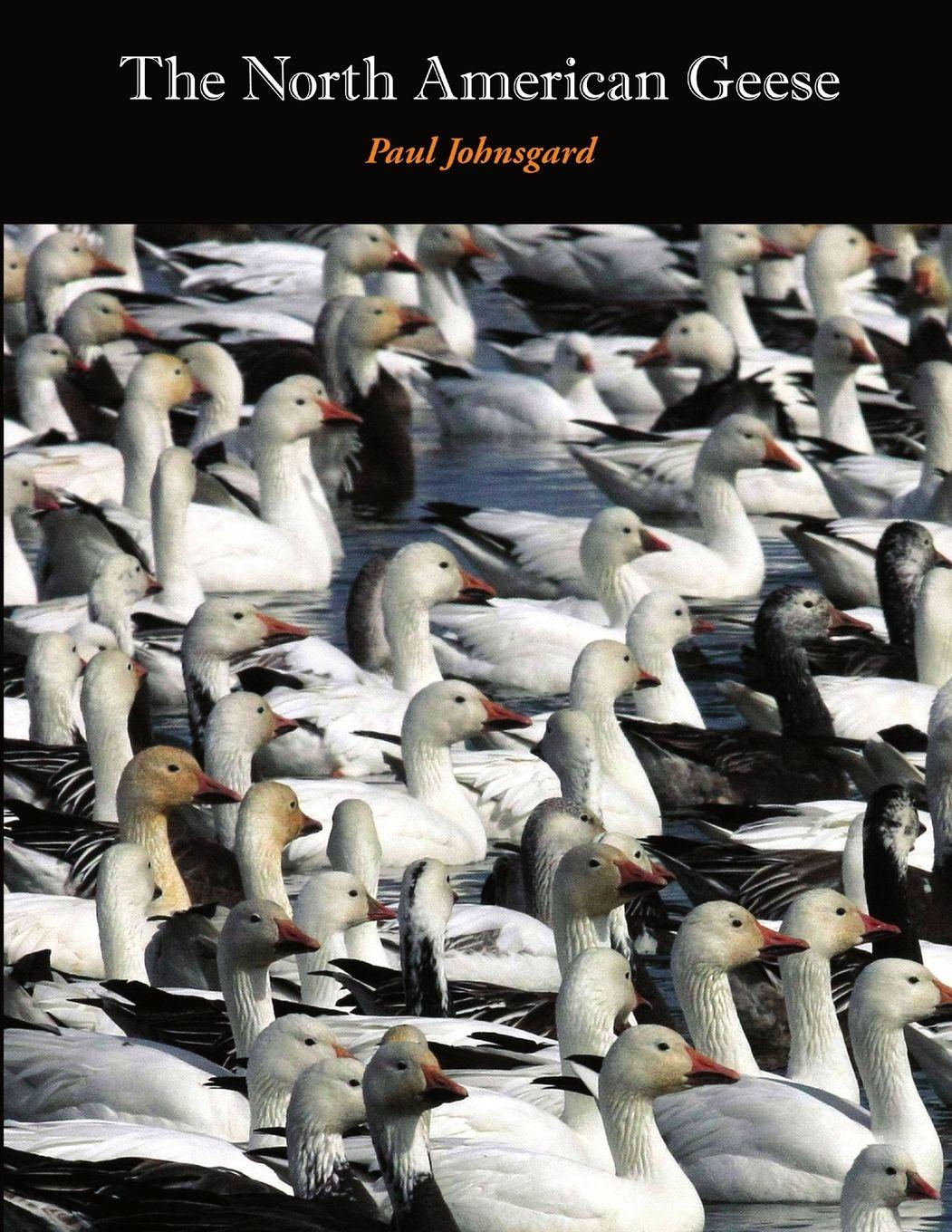 Vorderes Coverbild The North American Geese