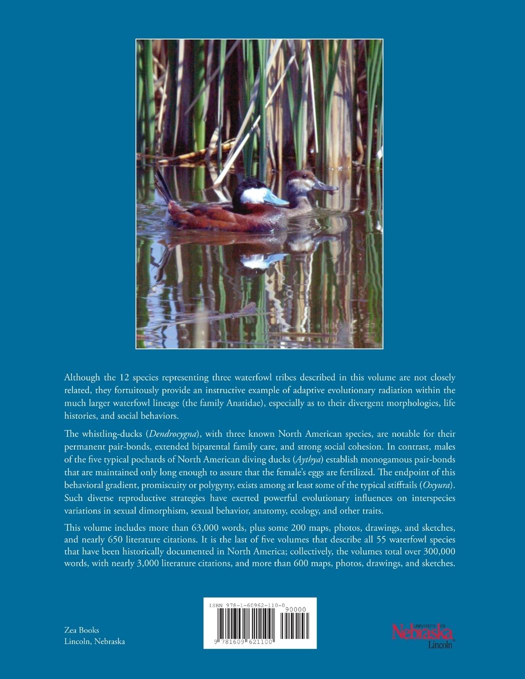 Rückseitencover The North American  Whistling-Ducks,  Pochards, and Stifftails