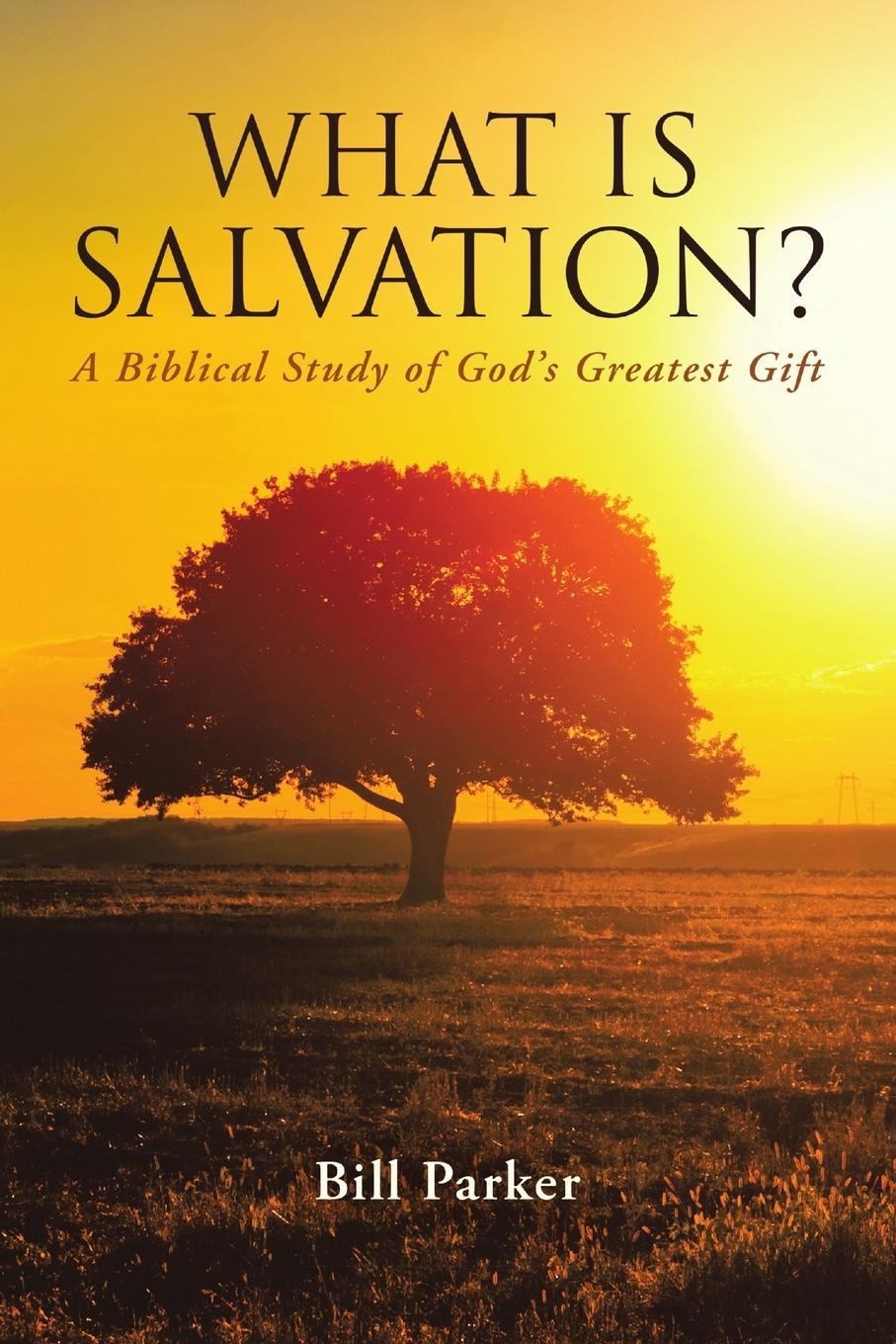 Vorderes Coverbild What Is Salvation?
