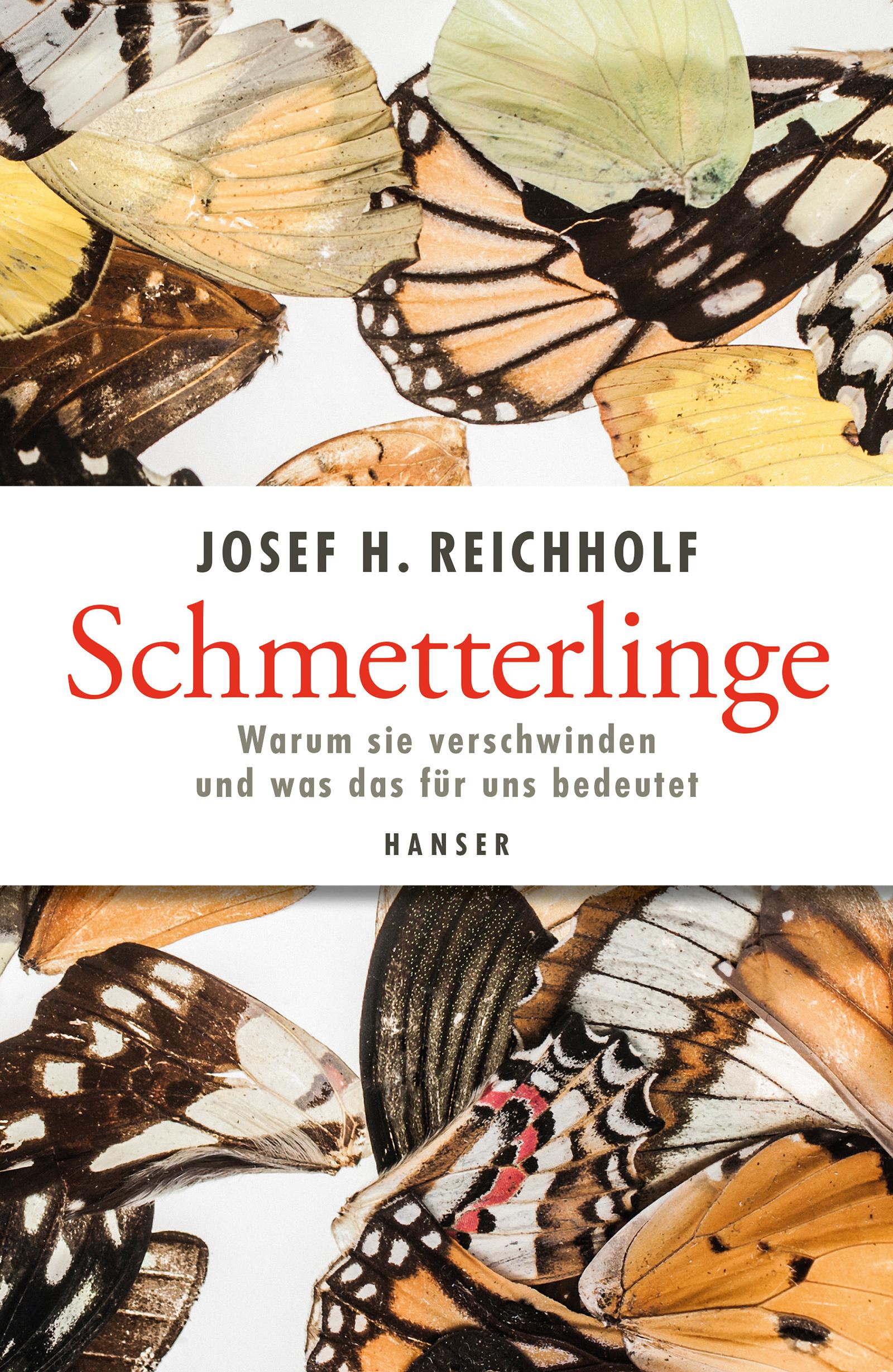 Vorderes Coverbild Schmetterlinge