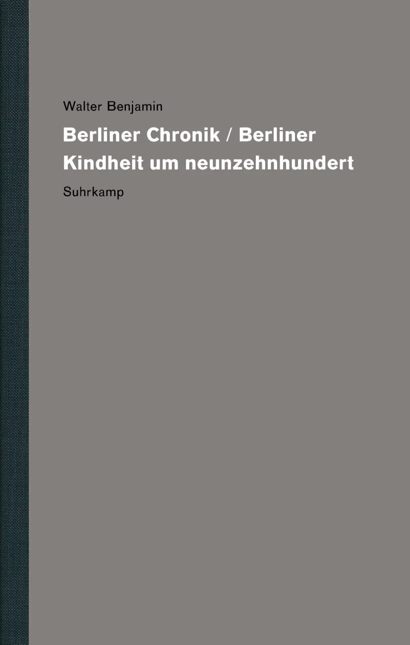 Vorderes Coverbild Werke und Nachlaß. Kritische Gesamtausgabe