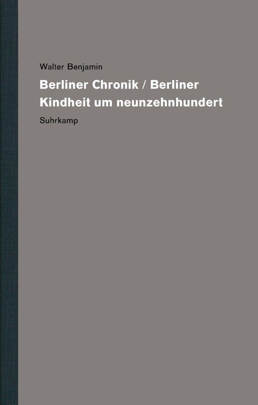 Vorderes Coverbild Werke und Nachlaß. Kritische Gesamtausgabe