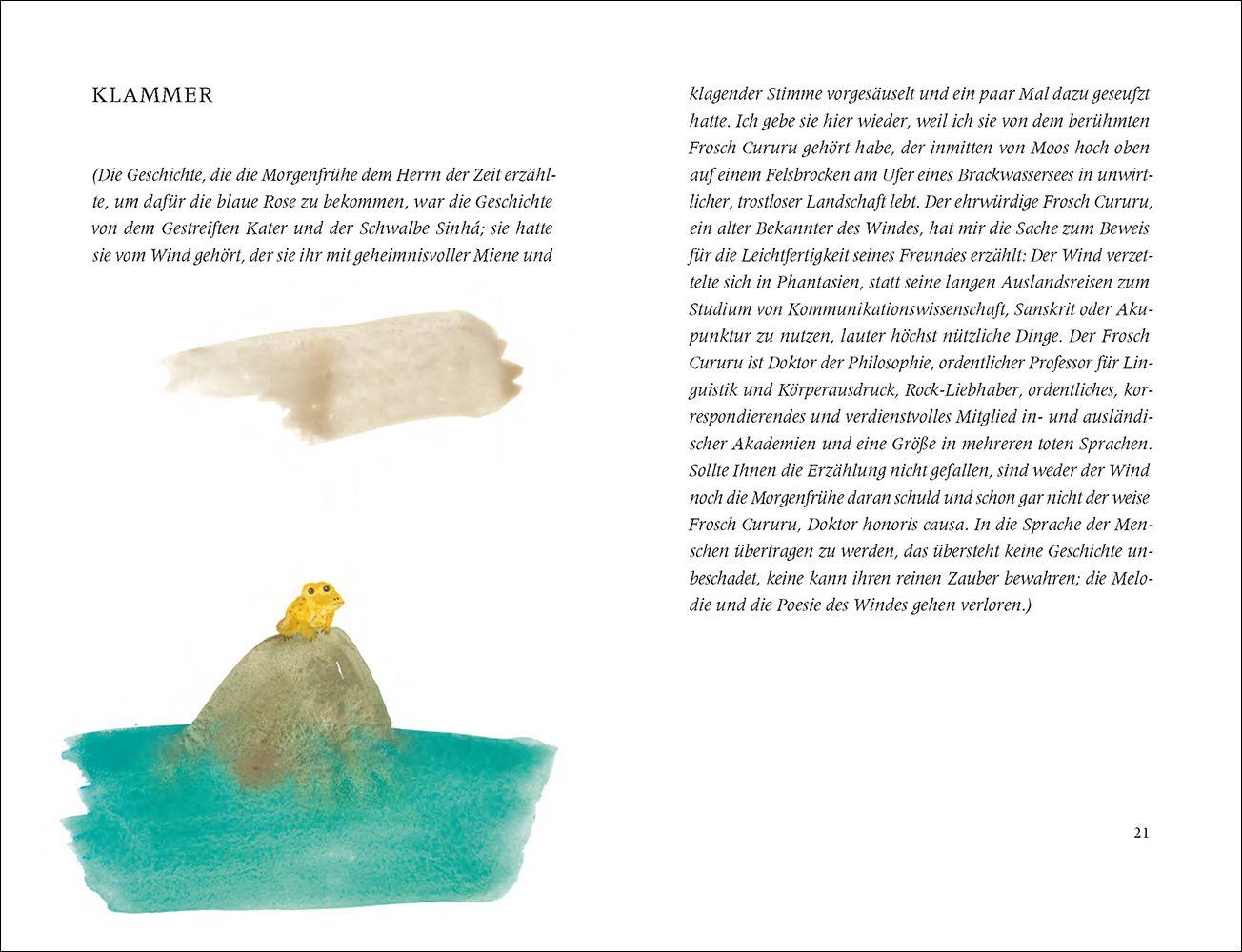 Beispielinhalt (Bild) Der gestreifte Kater und die Schwalbe Sinhá