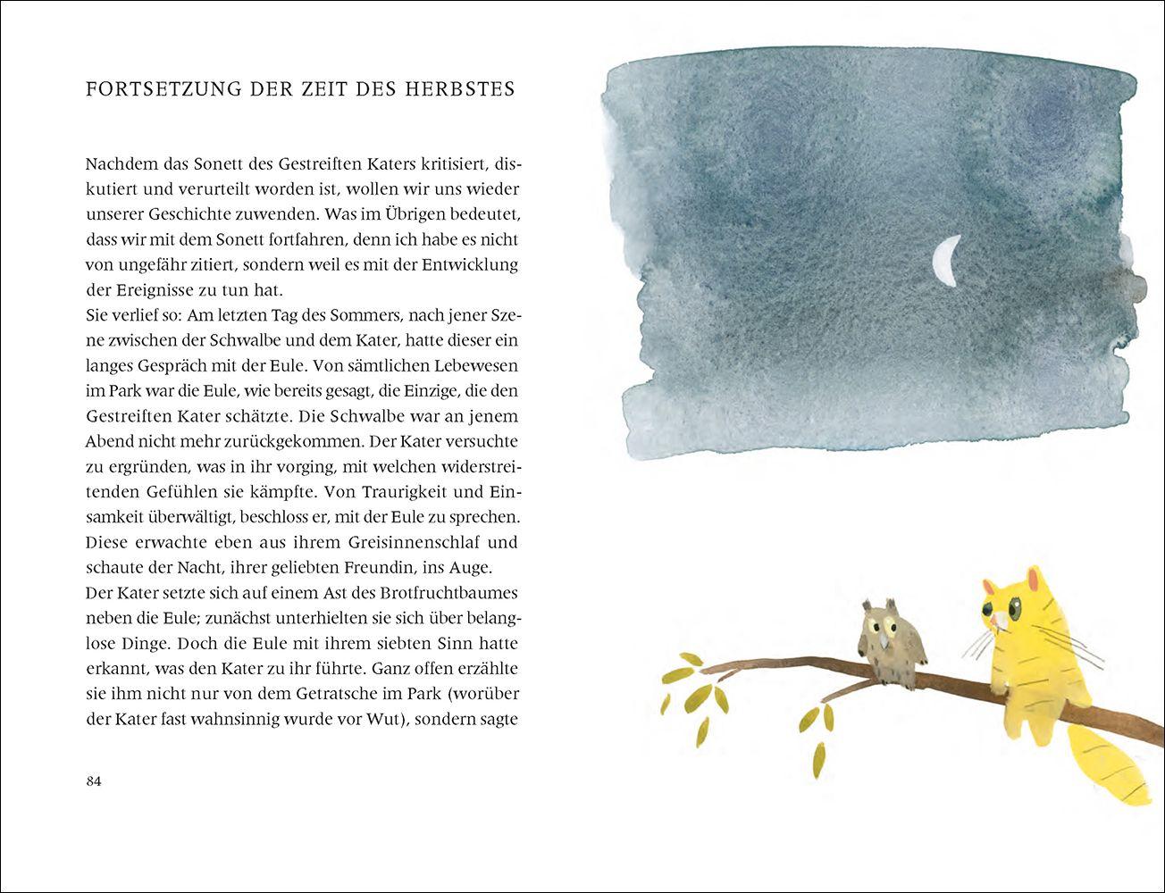 Beispielinhalt (Bild) Der gestreifte Kater und die Schwalbe Sinhá