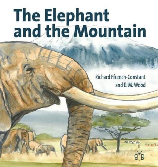 Vorderes Coverbild The Elephant and the Mountain