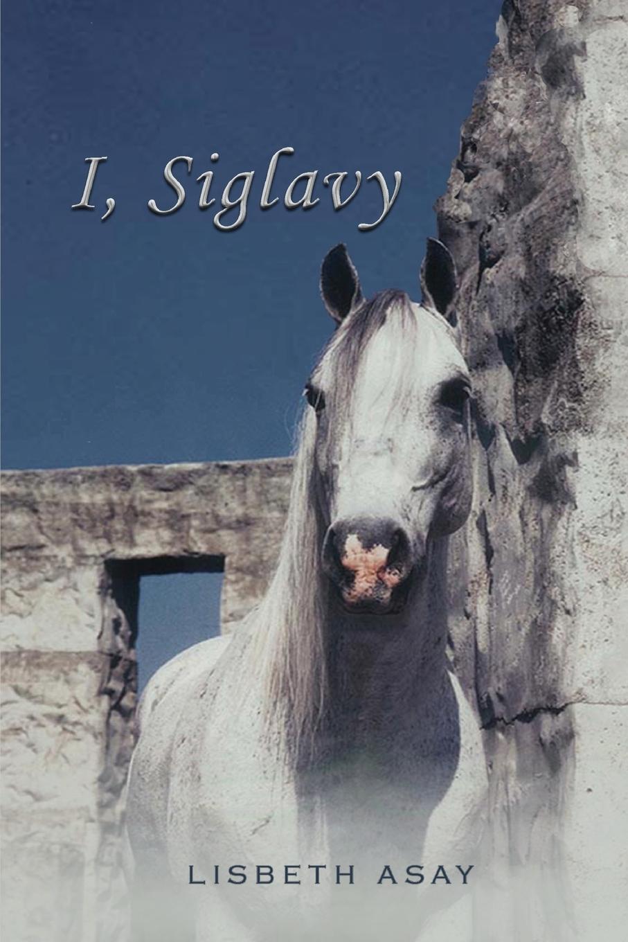 Vorderes Coverbild I, Siglavy