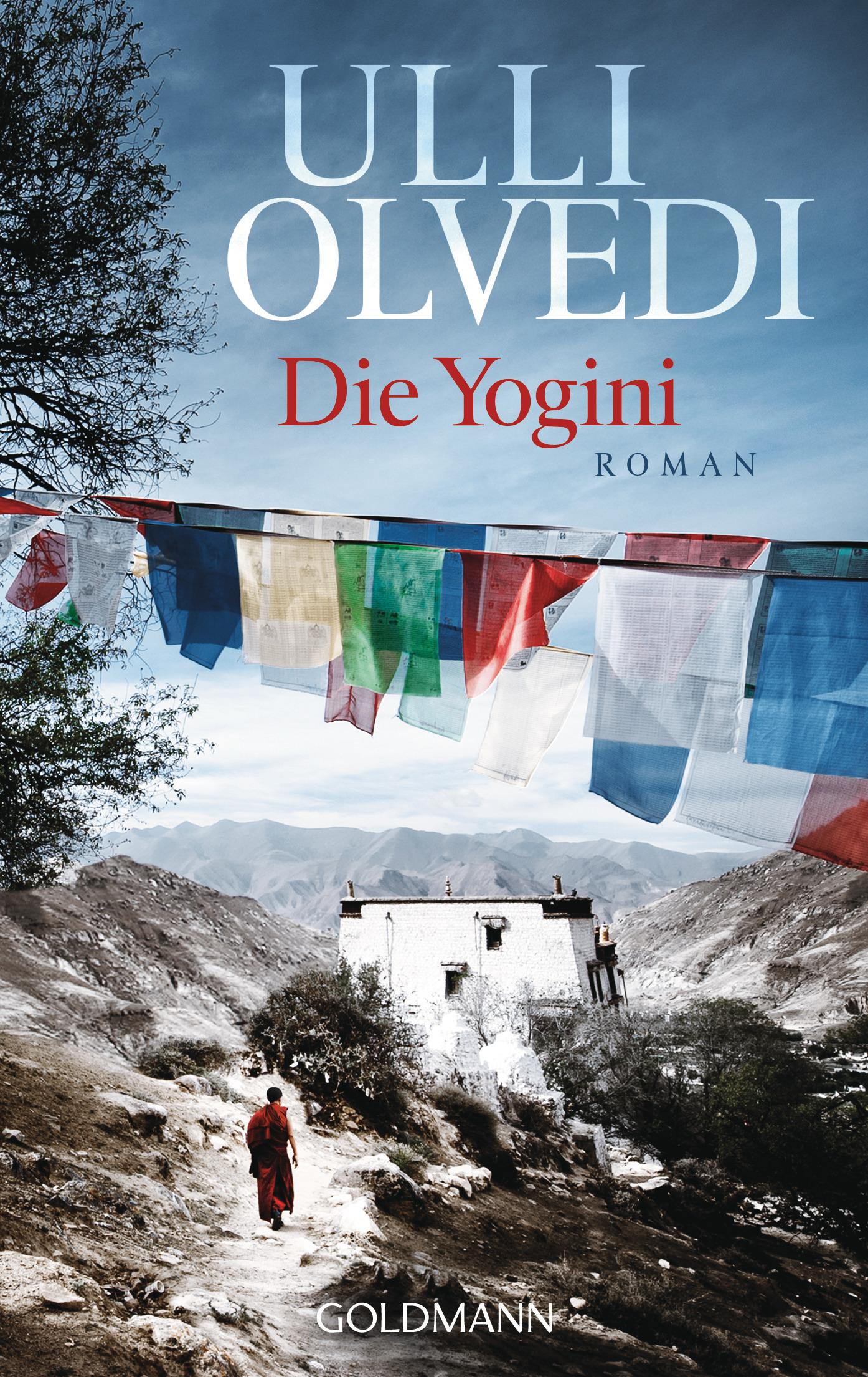 Vorderes Coverbild Die Yogini