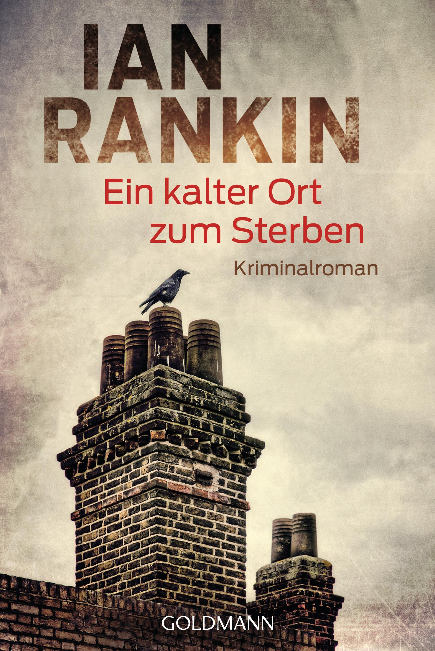 Vorderes Coverbild Ein kalter Ort zum Sterben