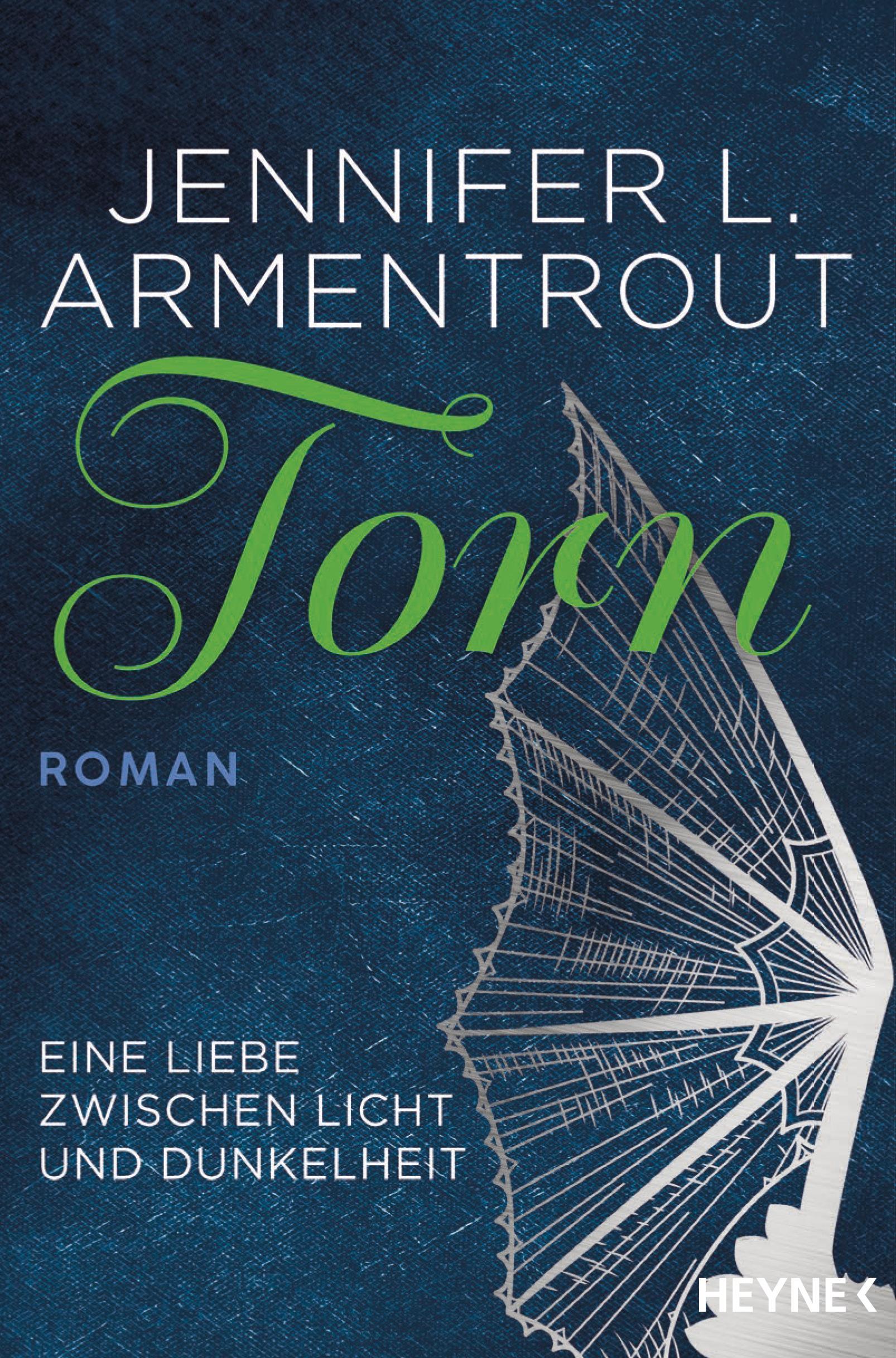 Vorderes Coverbild Torn - Eine Liebe zwischen Licht und Dunkelheit