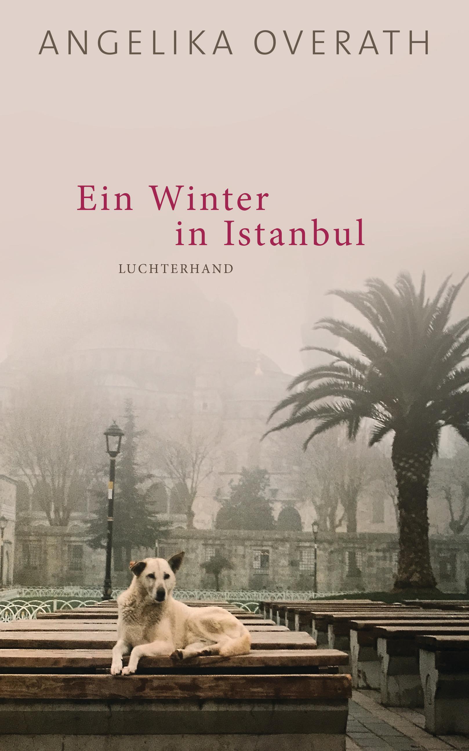 Vorderes Coverbild Ein Winter in Istanbul