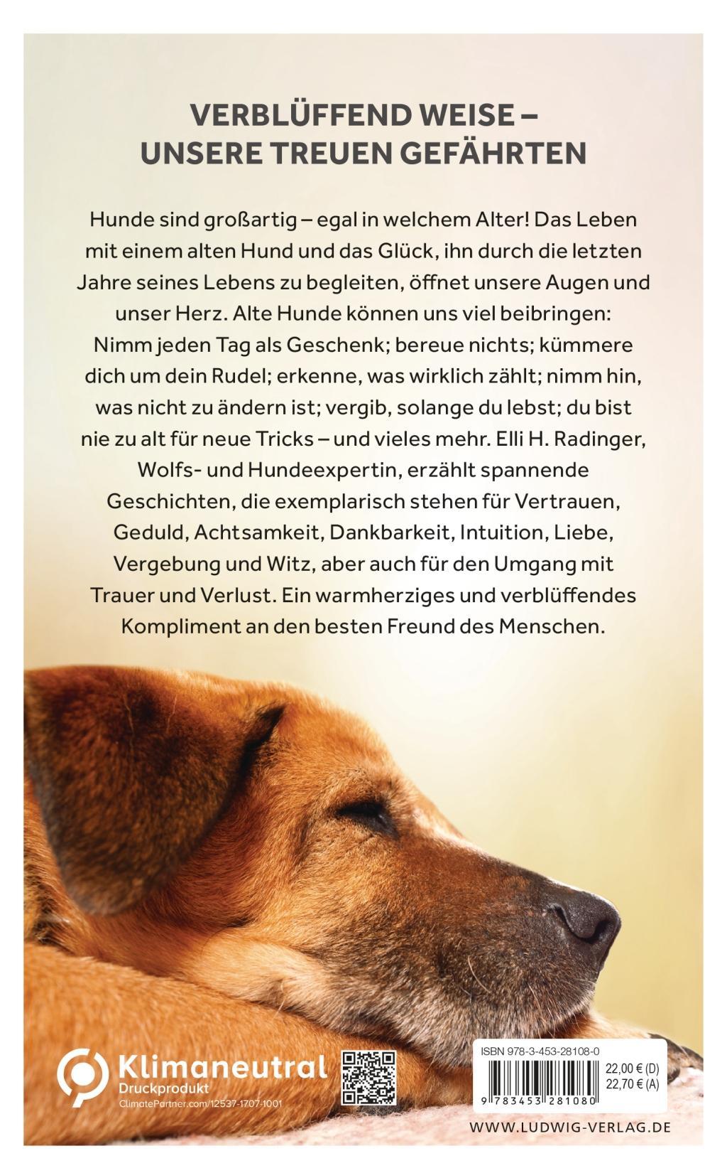 Beispielinhalt (Bild) Die Weisheit alter Hunde