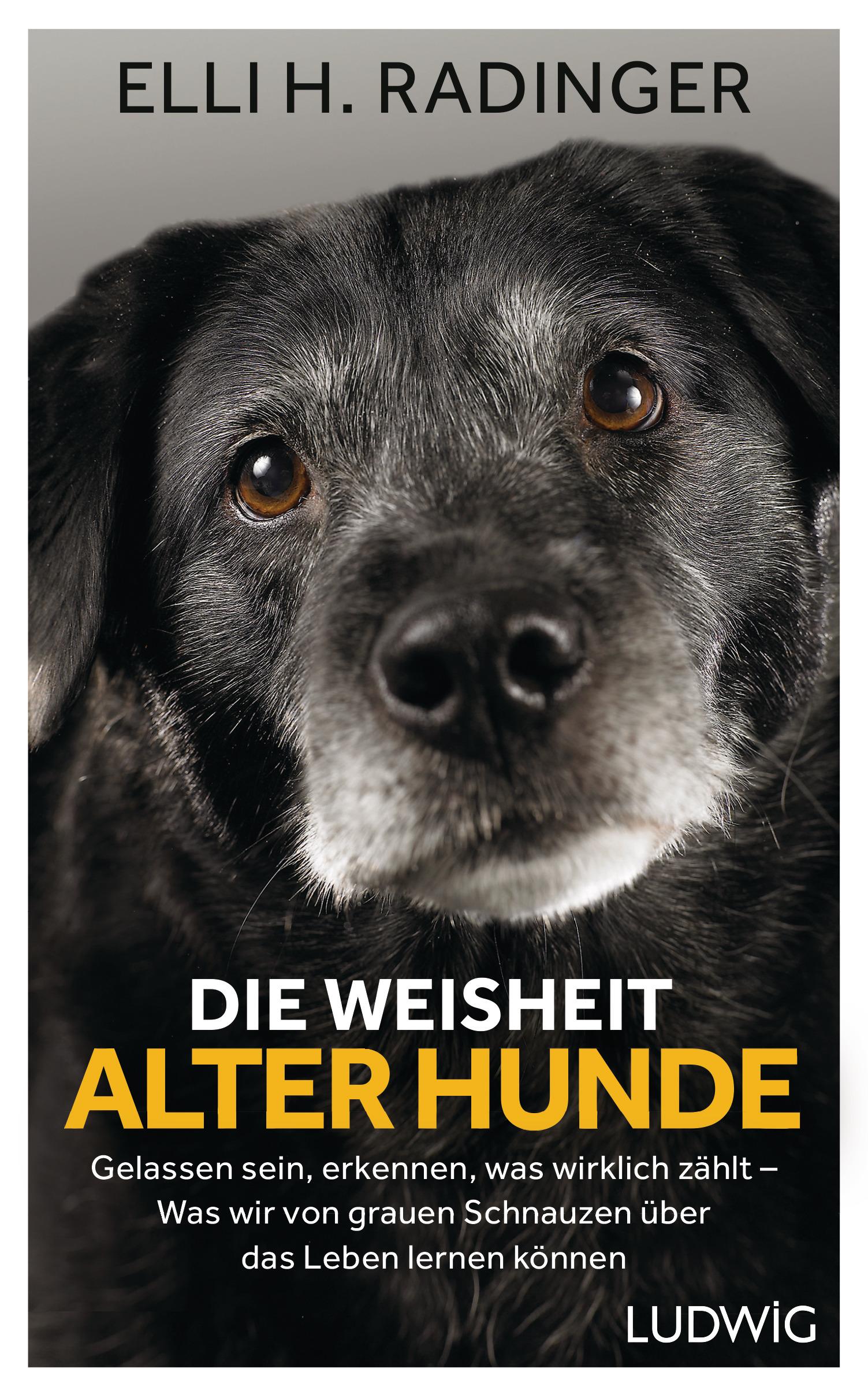 Vorderes Coverbild Die Weisheit alter Hunde