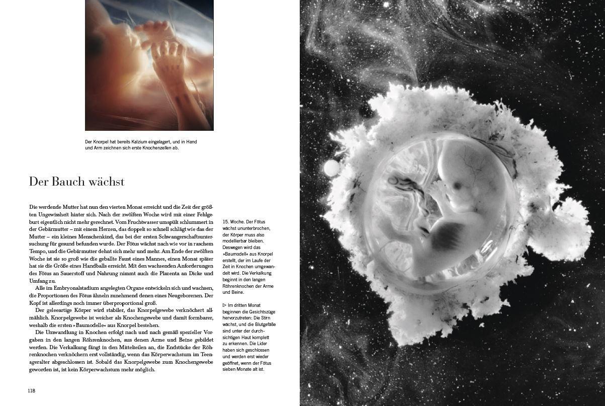 Beispielinhalt (Bild) Ein Kind entsteht