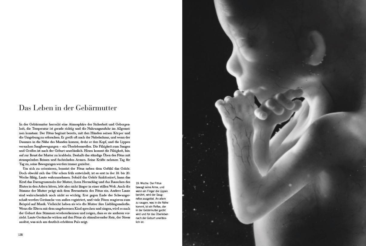 Beispielinhalt (Bild) Ein Kind entsteht