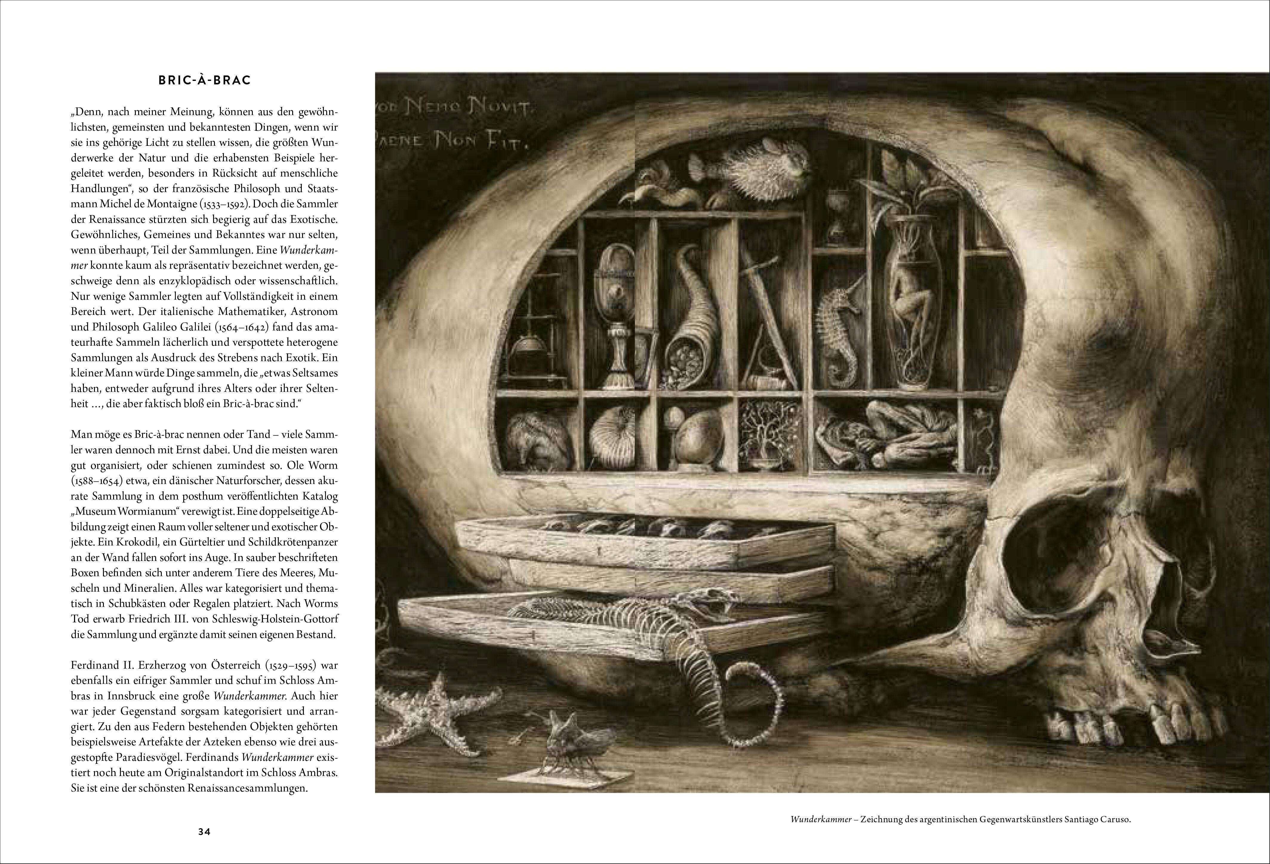 Beispielinhalt (Bild) Wunderkammer