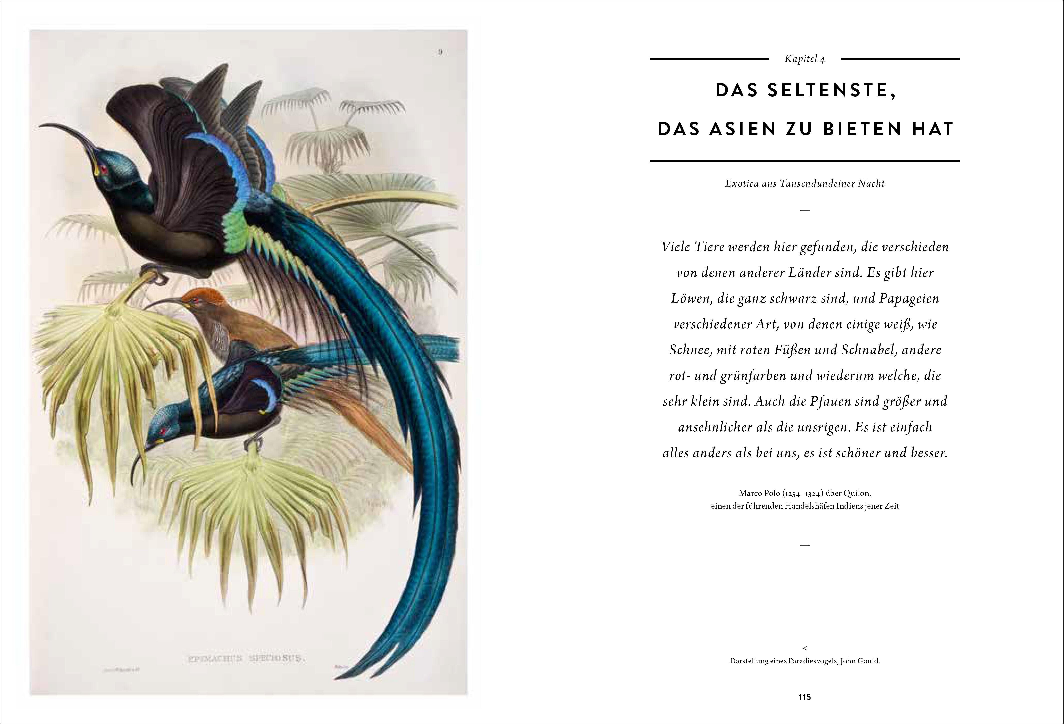 Beispielinhalt (Bild) Wunderkammer