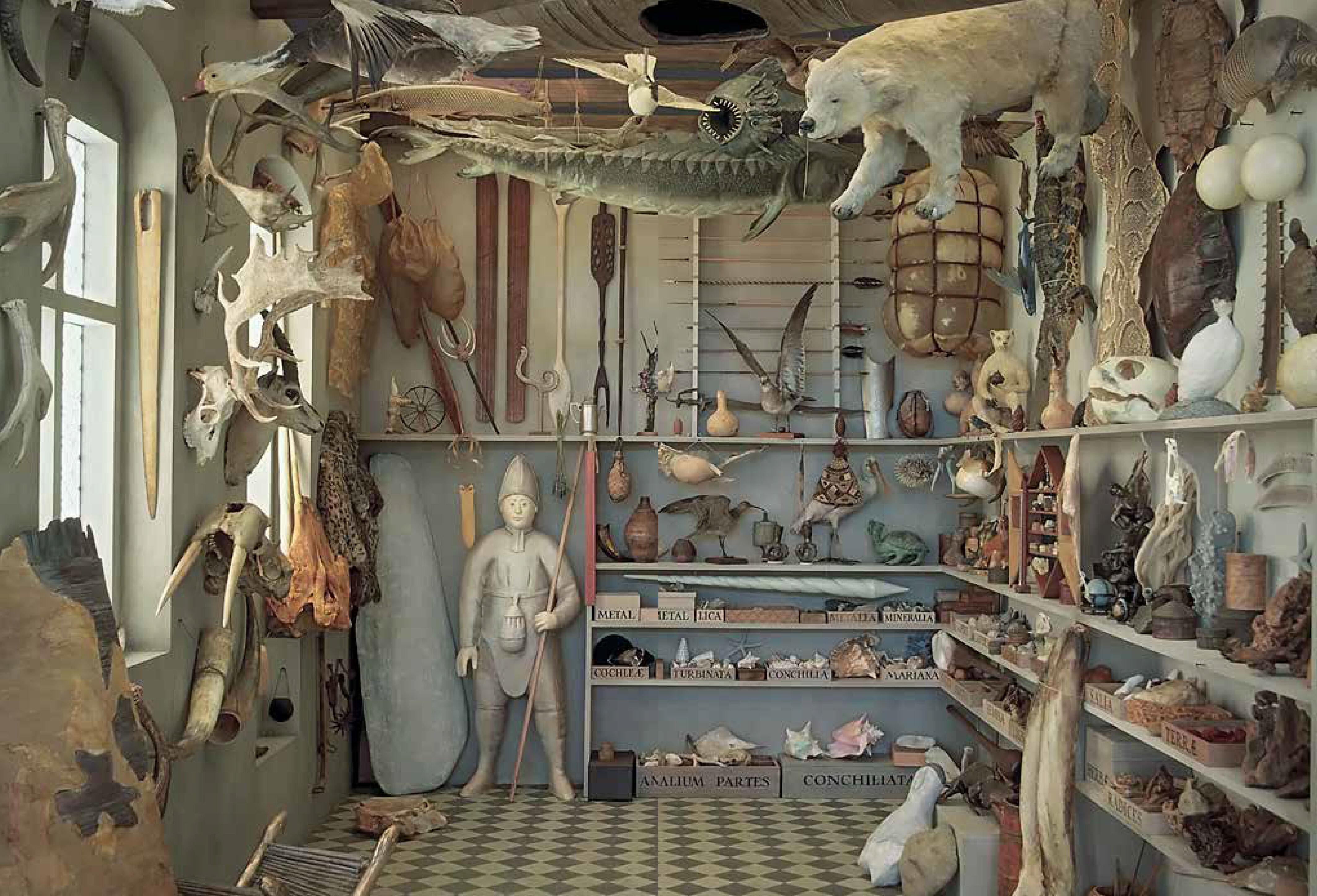Beispielinhalt (Bild) Wunderkammer