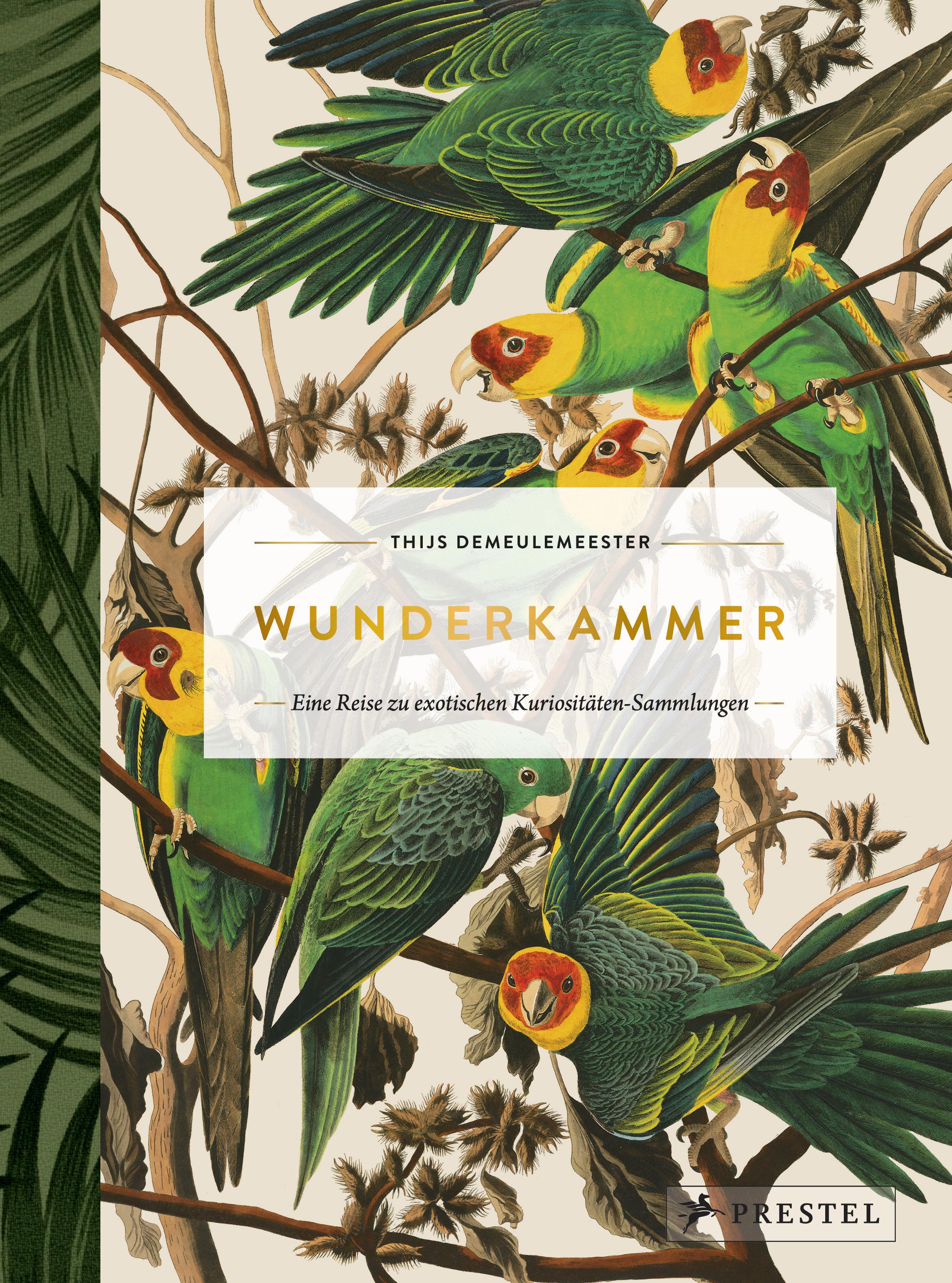 Vorderes Coverbild Wunderkammer