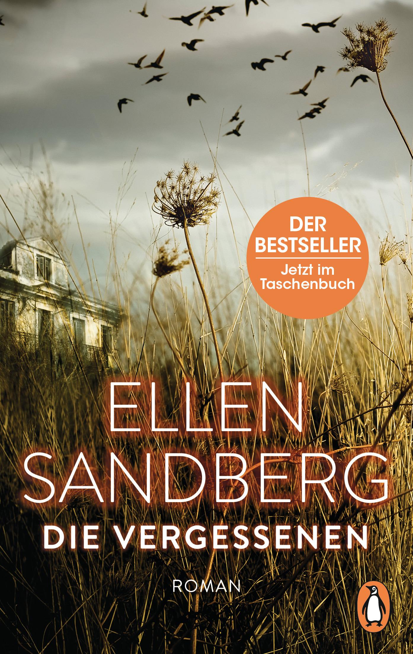 Vorderes Coverbild Die Vergessenen