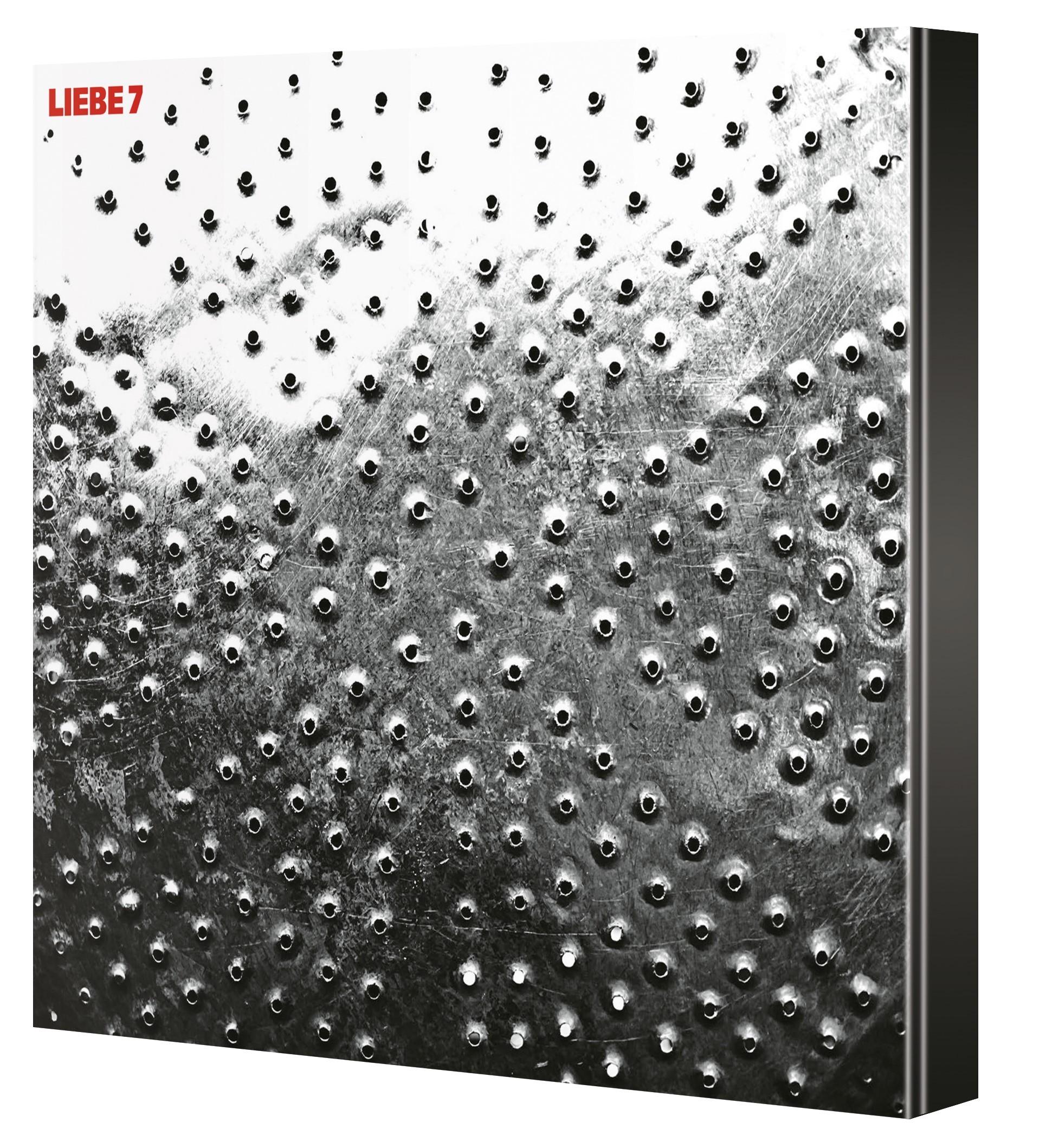 Beispielinhalt (Bild) LIEBE 7