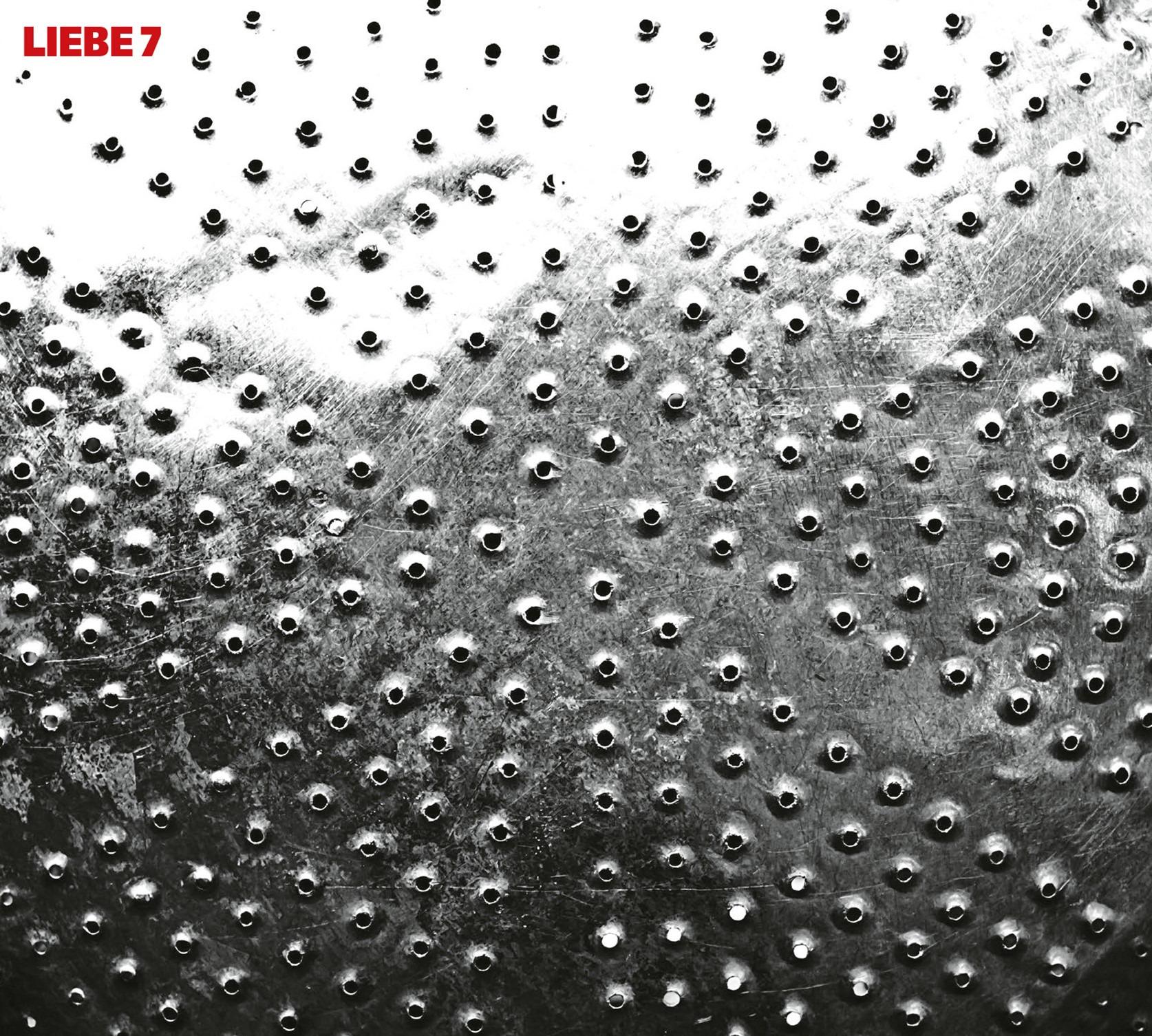 Vorderes Coverbild LIEBE 7